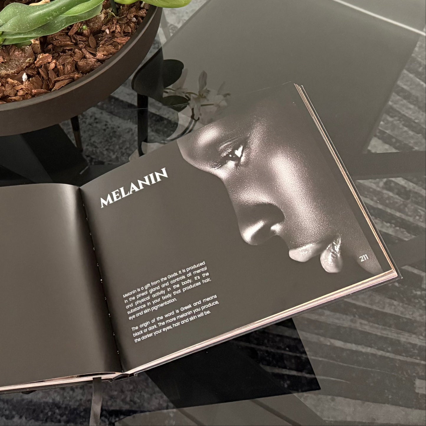 Open book with chapter 'Melanin' on a reflective surface next to a potted plant.